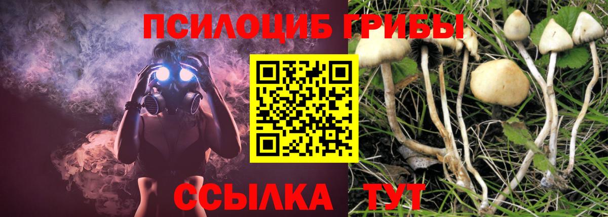 Псилоцибиновые грибы прущие грибы Воскресенск